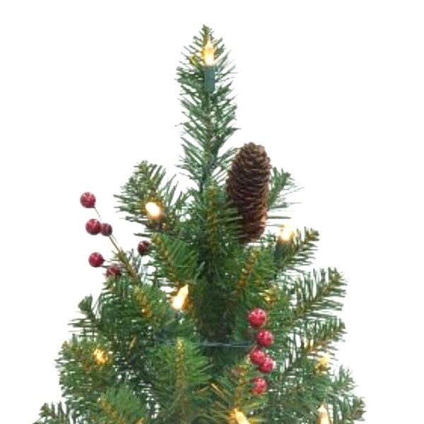Celebrations Celebrations 2 ft. Full Incandescent 35 ct Table Top Christmas Tree - TCWT20P00A