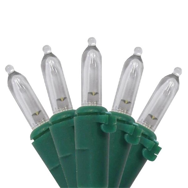 Goldengifts LED Battery Operated Mini Lights Warm White - 50 Count - GO2740947