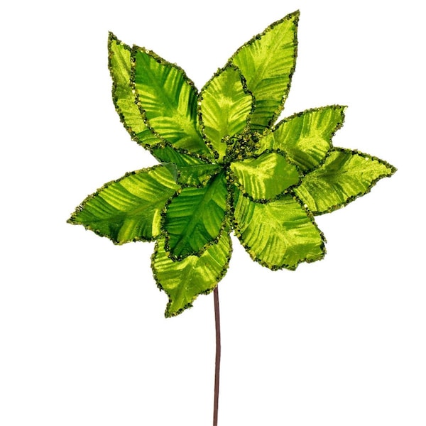 Vickerman 24 in. Velvet Sequin Trim Poinsettia Spray, Lime, 3PK - RG221373