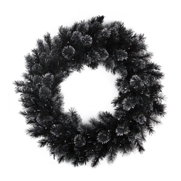 Northlight Seasonal Battery Operated Black Bristle Artificial Christmas Wreath - Warm White LED Lights - 31742027