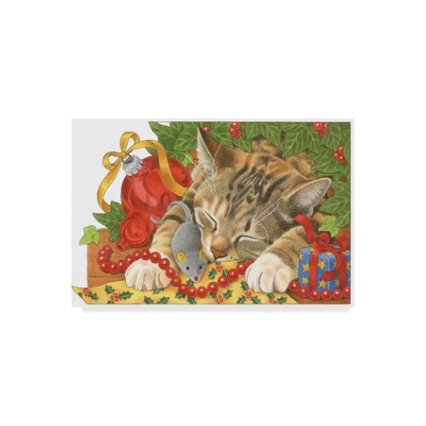 Trademark Fine Art Francien Van Westering 'Christmas Cat Sleeping' Canvas Art, 30x47 - ALI34714-C3047GG