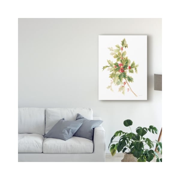 Trademark Fine Art Danhui Nai 'Floursack Holiday Ix' Canvas Art, 35x47 - WAP09073-C3547GG