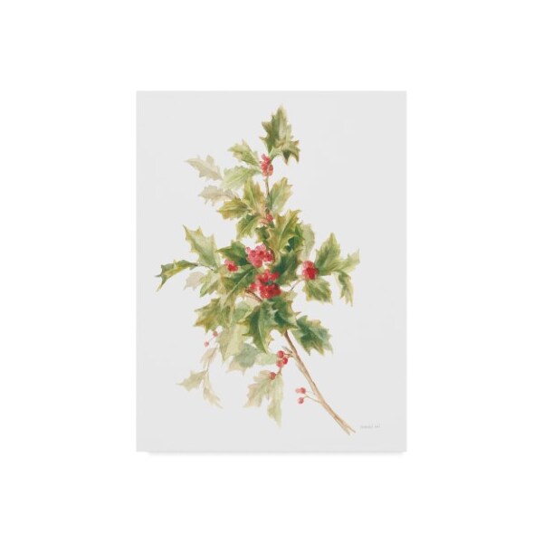 Trademark Fine Art Danhui Nai 'Floursack Holiday Ix' Canvas Art, 35x47 - WAP09073-C3547GG