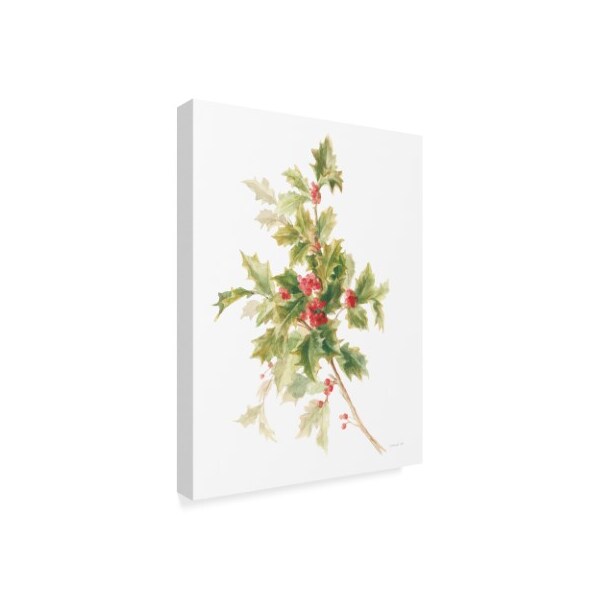Trademark Fine Art Danhui Nai 'Floursack Holiday Ix' Canvas Art, 35x47 - WAP09073-C3547GG