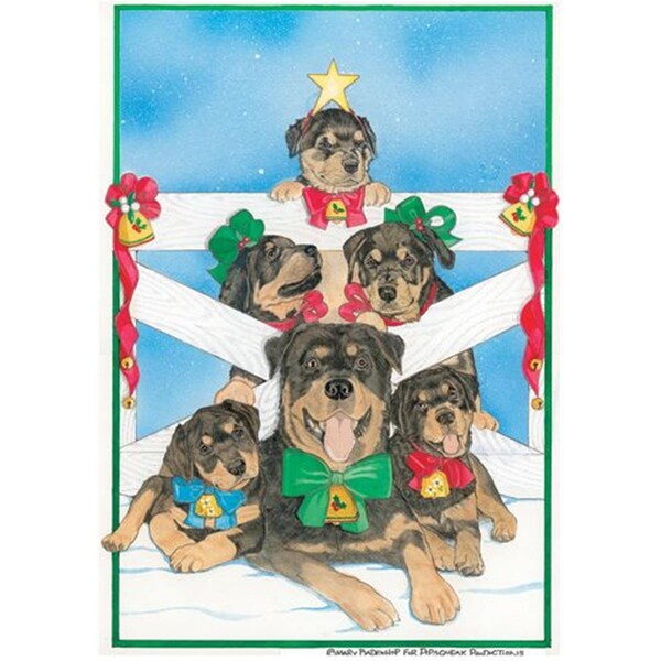 Pipsqueak Productions Rottweiler Holiday Boxed Cards - PI392832