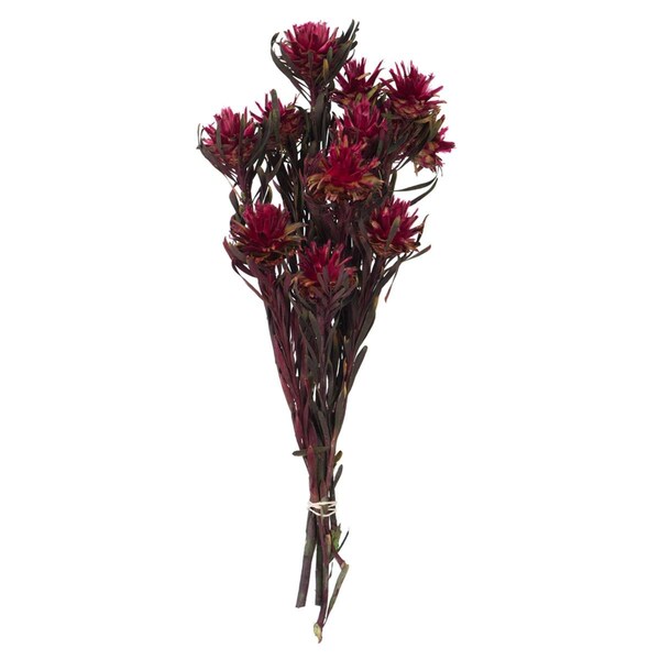 Vickerman 8-20 in. Merlot Plumosum Bundle - 13 Heads - H1PMF450-1