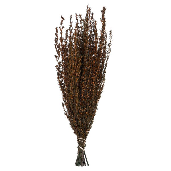 Vickerman 22-26 in. Autumn Grabia with 5-6 oz Bunch - H1GRB750