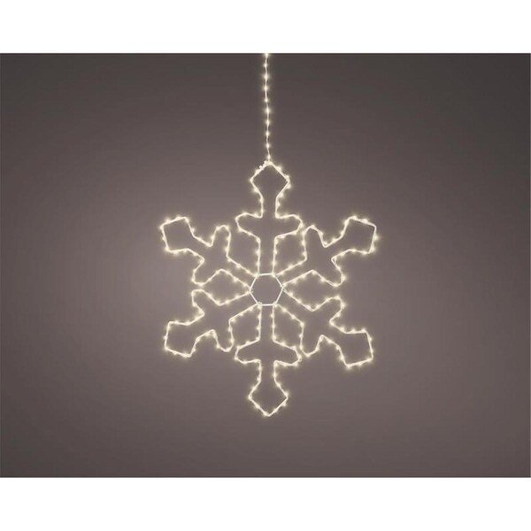 Surprise LED Indoor Christmas Decor, Warm White - SU3306550