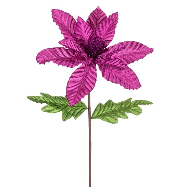 Vickerman 22 in. Velvet Glitter Poinsettia Spray, Fuchsia - 6 per Bag - RG223170