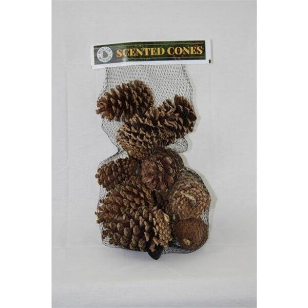 Winter Woods Winter Woods 9062278 Cinnamon Scented Cones - Pack of 14 - Pack of 20 - 9062278