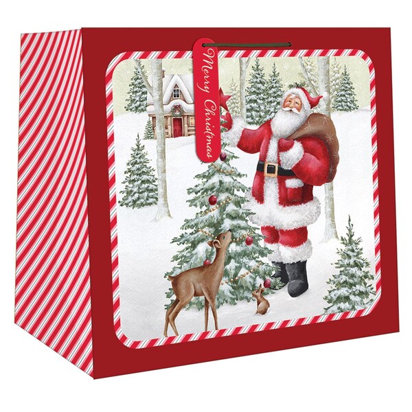 Paper Images Paper Images X-Jumbo Assorted Gift Bag - CGB5XA24CD-10
