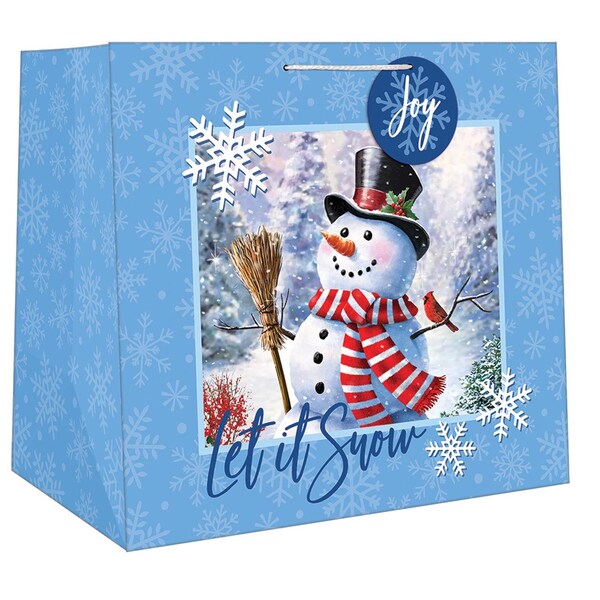 Paper Images Paper Images X-Jumbo Assorted Gift Bag - CGB5XA24CD-10
