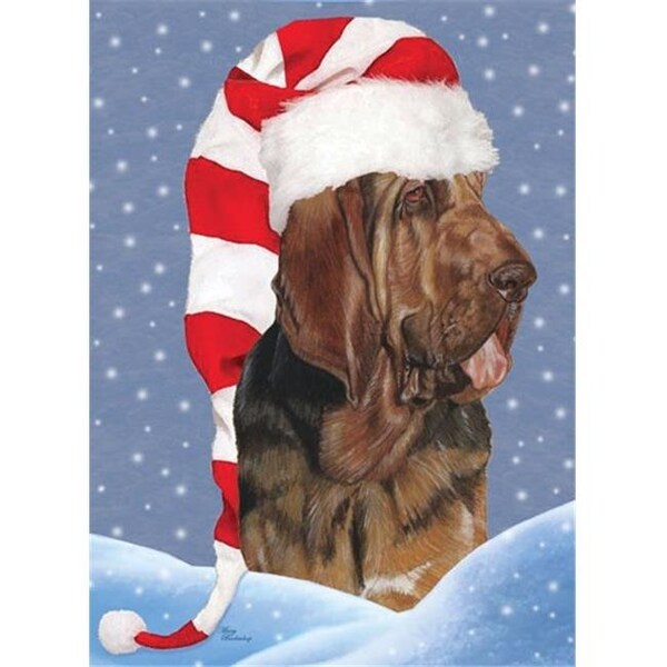 Pipsqueak Productions Pipsqueak Productions C721 Bloodhound Christmas Boxed Cards - Pack of 10 - C721
