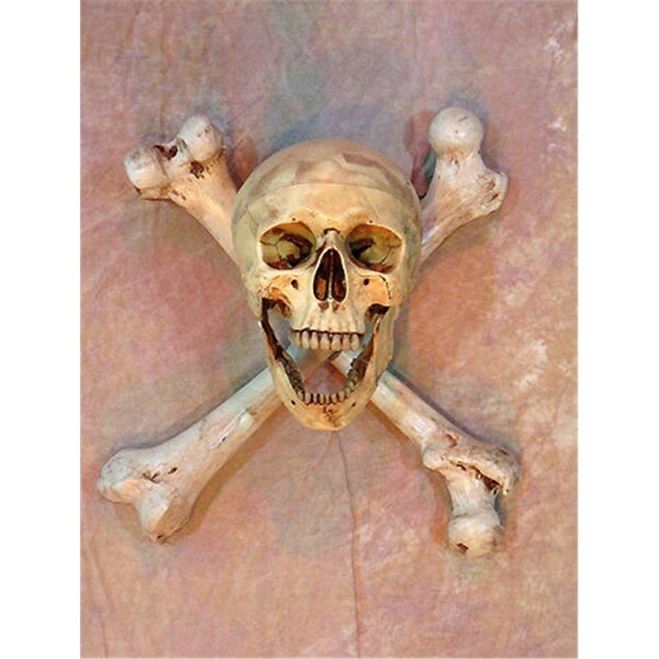 Perfectpretend Wall Sconce Skull-Bone  Life-Size Skull on Femur Crossbones no Candle - PE1413064