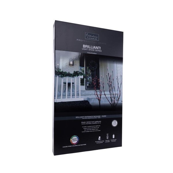 Celebrations Platinum Brilliant LED Prelit RGBW Entryway Kit Wreath - BRENTPA
