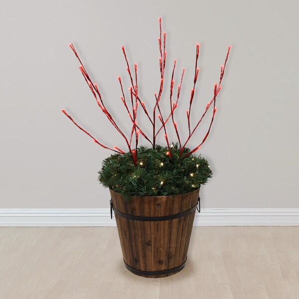 Celebrations Celebrations LED Red Lighted Red Twigs 32 in. Yard Decor - BOTWIG50RDA