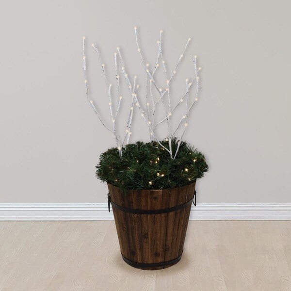 Celebrations Celebrations LED Warm White Lighted Birch Twigs 32 in. Yard Decor - BOTWIG50BCHA