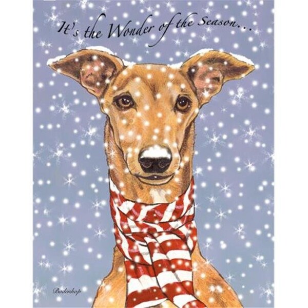 Pipsqueak Productions Pipsqueak Productions C531 Greyhound Holiday Boxed Cards - C531