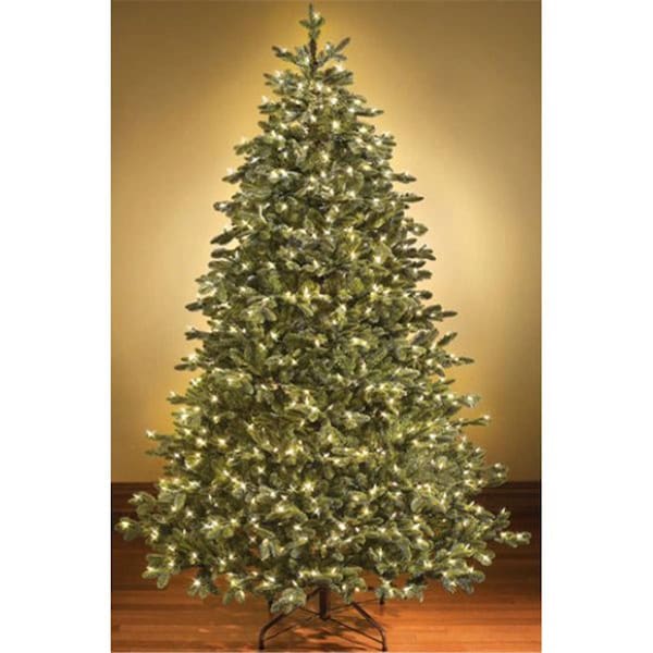 Queens Of Christmas 4 ft. LED Sequoia Christmas Trees, Warm White - WL-TRSQ-04-LWW
