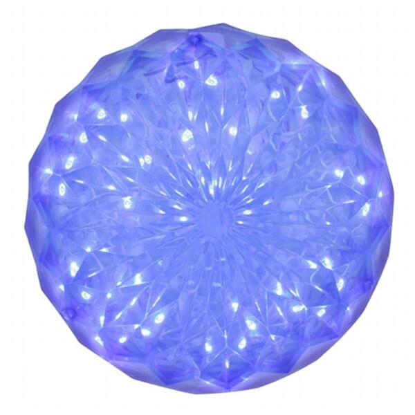 Vickerman 30 Light x 6 in. LED Blue Crystal Ball Outdoor - X106602