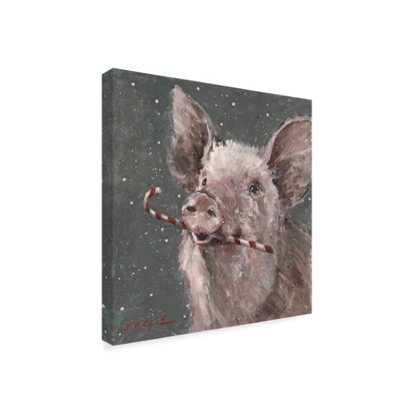 Trademark Fine Art Mary Miller Veazie 'Teri The Christmas Pig' Canvas Art, 18x18 - ALI31257-C1818GG