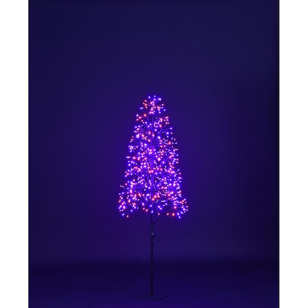Queens Of Christmas 5 ft. LED Tree, Purple & Orange - LED-TR3D05-LPO