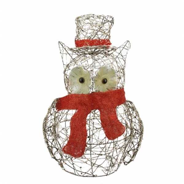 Northlight Seasonal Lighted Glitter Rattan Owl Christmas Yard Art Decoration - 31748802