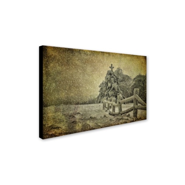 Trademark Fine Art Lois Bryan 'Oh Christmas Tree in Snow' Canvas Art, 30x47 - LBR0273-C3047GG