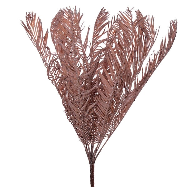 Vickerman 21 in. Dry Palm Cycas Bush, Light Brown - FM222422