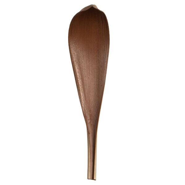 Vickerman 33-40 in. Natural Palm Paddles Florida Tree - H2PAL000-3