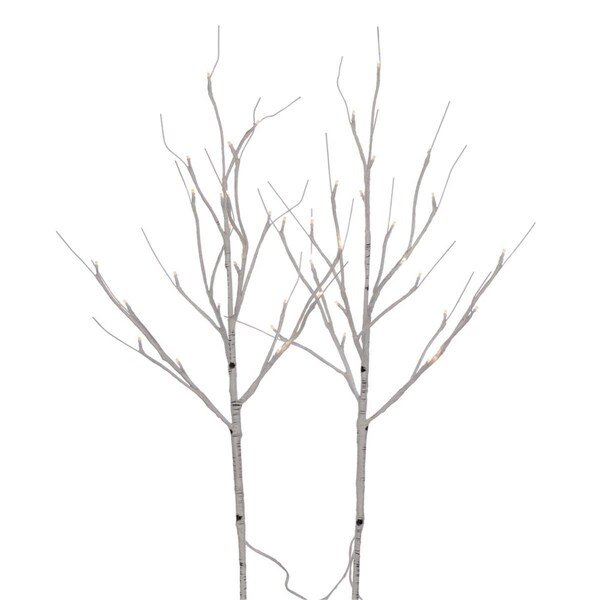 Vickerman 30 in. 40 Warm White LED Battery Operated Birch Branch, White, 2PK - X221530