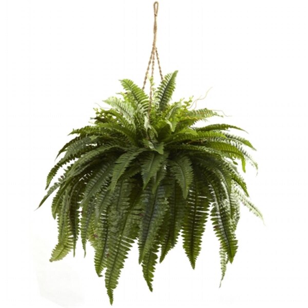 Nearly Natural Double Giant Boston Fern Hanging Basket - 6788