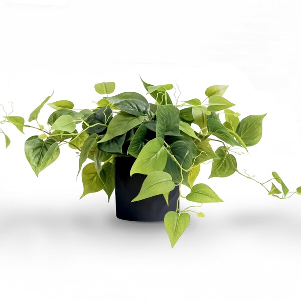 Forever Leaf Artificial Pothos Plant with Black Pot - FL03102