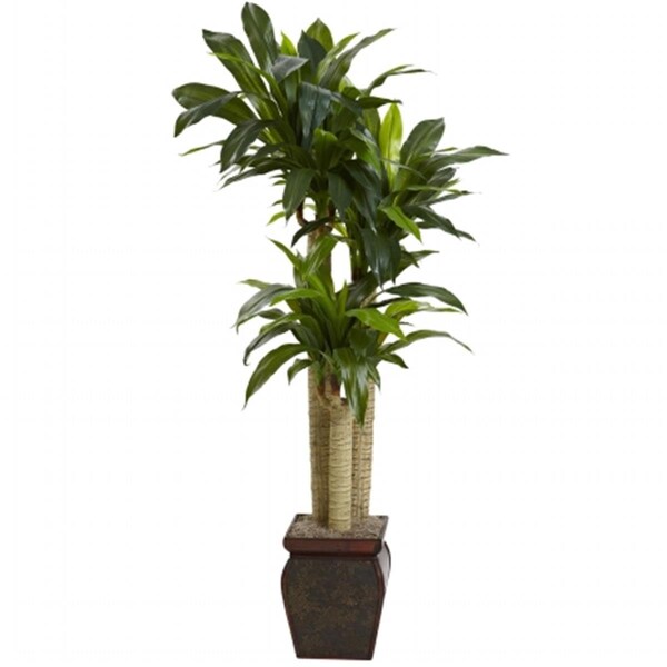 Dare2Decor 4.5 ft. Cornstalk Draceana With Vase - Real Touch - DA416477