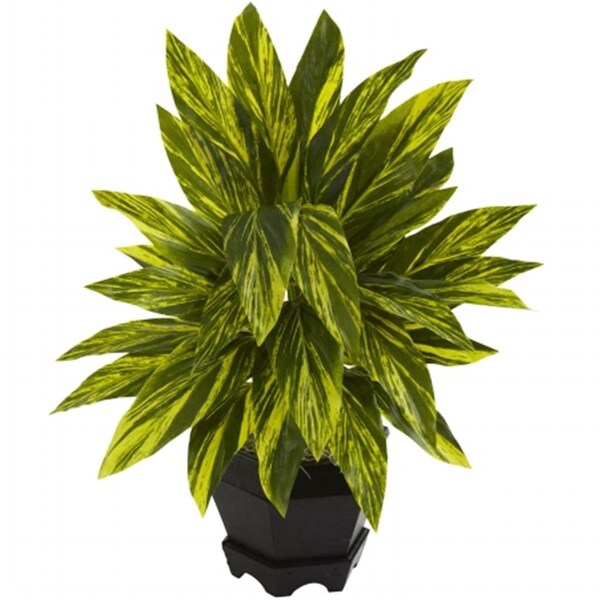 Nearly Natural Ginger Plant With Black Planter - 6789