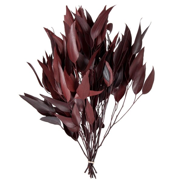 Vickerman 18-20 x 8 in. Eucalyptus Willow Red Bunch, 5-6 oz - H1WIL475