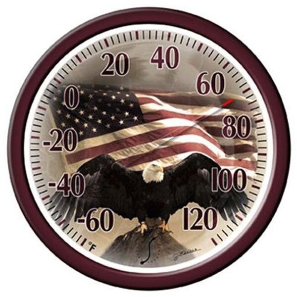 Taylor Taylor Precision Products 142309 13.25 in. Bald Eagle with American Flag Dial Thermometer - 142309