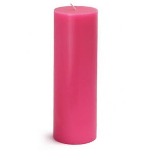 Zest Candle CPZ-095-12 3 x 9 in. Hot Pink Pillar Candles, 12PK - CPZ-095_12