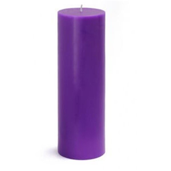 Zest Candle CPZ-102-12 3 x 9 in. Purple Pillar Candles, 12PK - CPZ-102_12