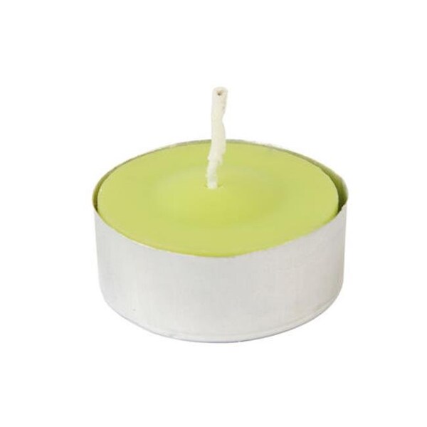 Zest Candle Zest Candle CTC-001 Lime Green Citronella Tealight Candles -100pcs-Box - CTC-001