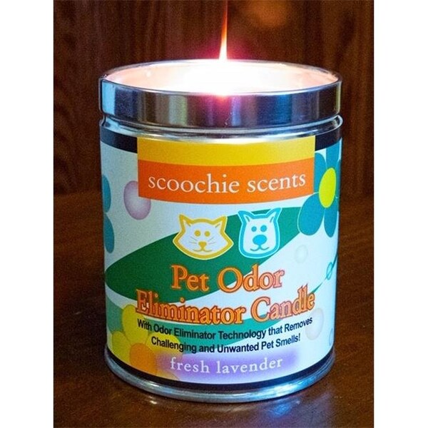 Scoochie Pet Scoochie Pet 261 Lavender Pet Odor Removing Candle - 13 oz - 261