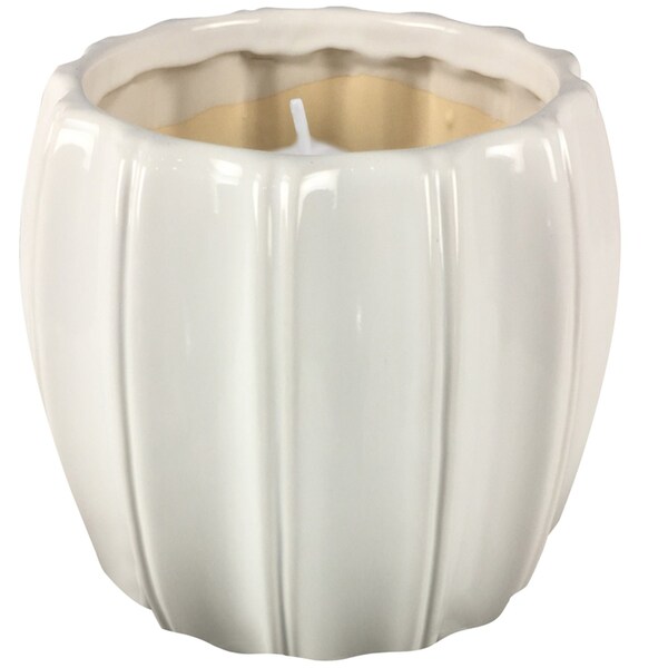 Outdoorzie Outdoozie Assorted Ceramic 4 in. H Contour Citronella Candle - CC00274N-4XQ