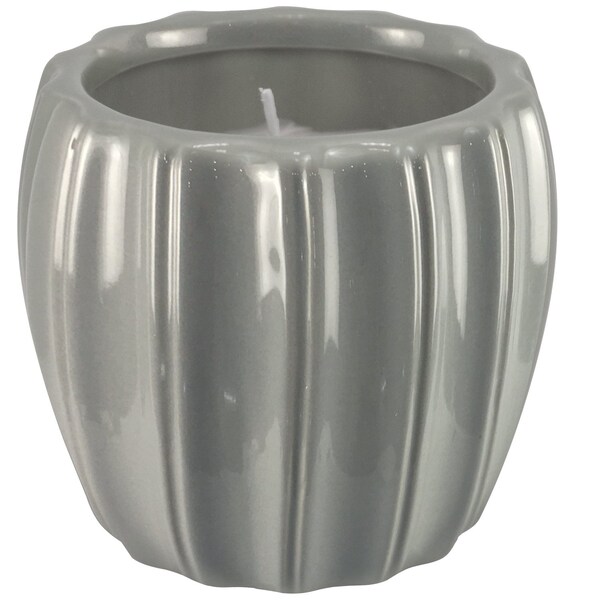 Outdoorzie Outdoozie Assorted Ceramic 4 in. H Contour Citronella Candle - CC00274N-4XQ