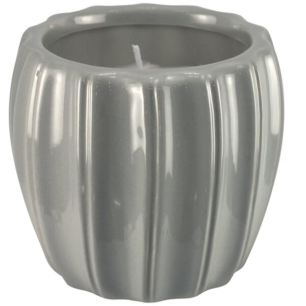 Outdoorzie Outdoozie Assorted Ceramic 4 in. H Contour Citronella Candle - CC00274N-4XQ