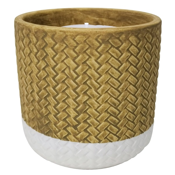 Trendspot Trendspot Assorted Ceramic 4 in. H Reed Citronella Candle - CC00318N-Q3