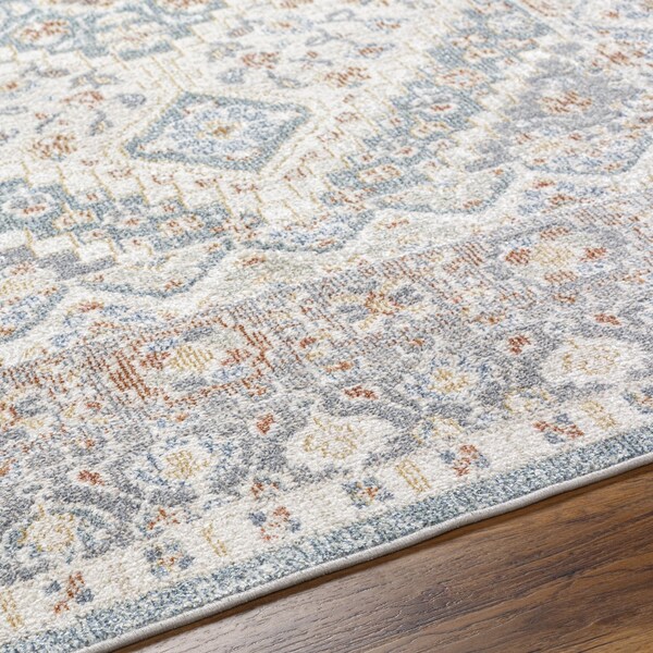 Livabliss Santana SNN-2302 Machine Washable Area Rug - SNN2302-2773