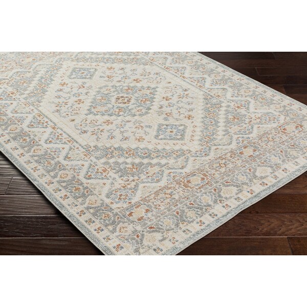 Livabliss Santana SNN-2302 Machine Washable Area Rug - SNN2302-2773