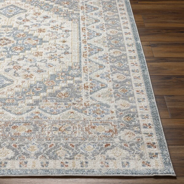 Livabliss Santana SNN-2302 Machine Washable Area Rug - SNN2302-2773