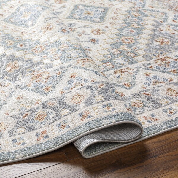 Livabliss Santana SNN-2302 Machine Washable Area Rug - SNN2302-2773