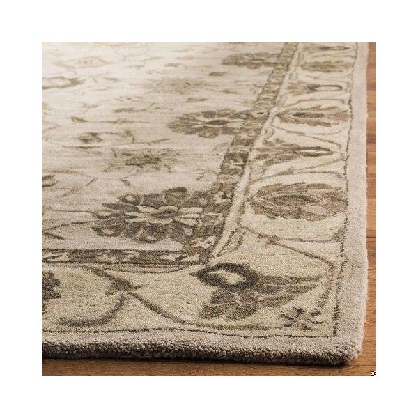 Safavieh Anatolia Small Rectangle Area Rug, Beige and Beige - 3 x 5 ft. - AN586G-3